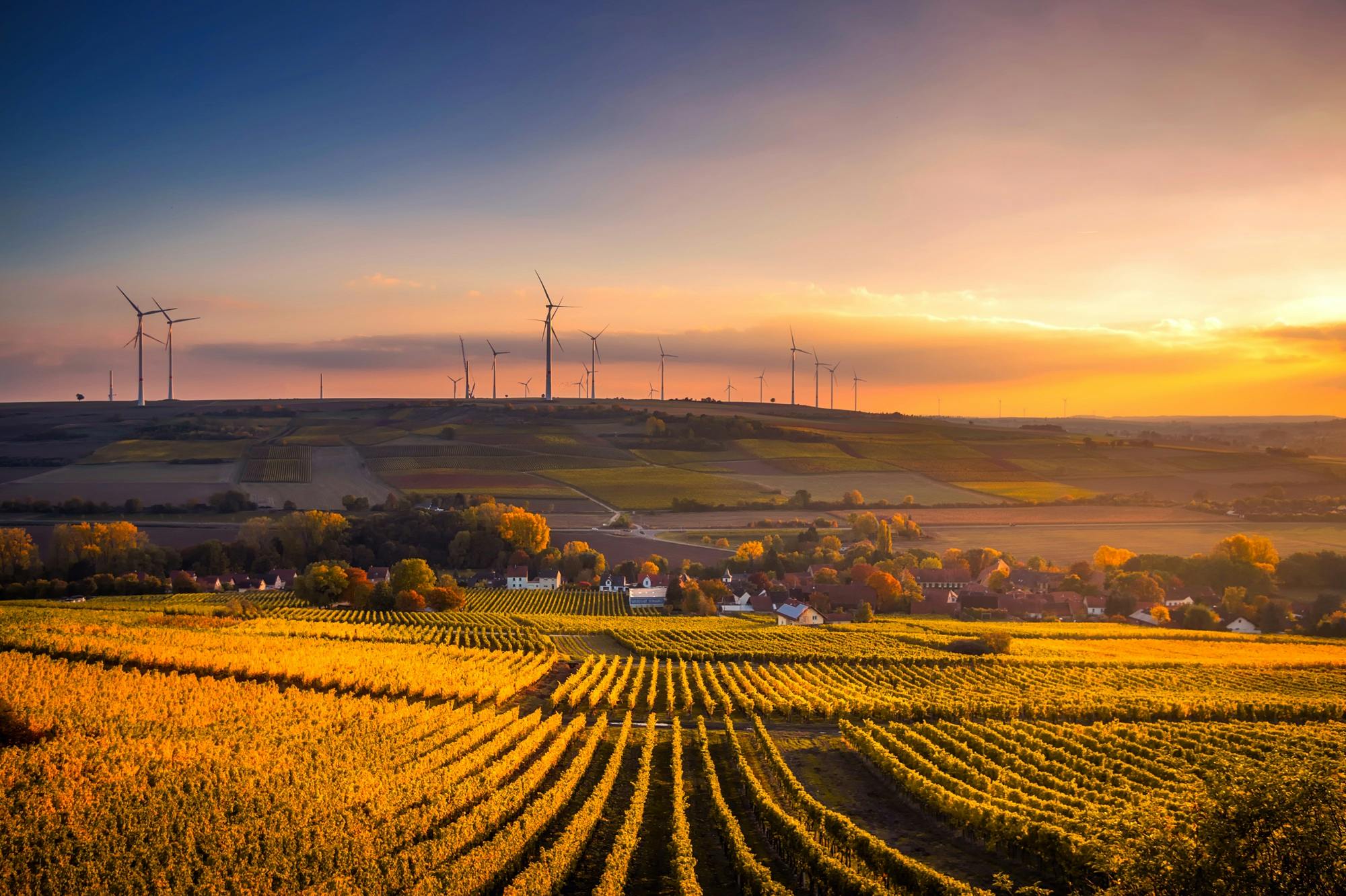 Wind turbines at the background of the field at sunset.