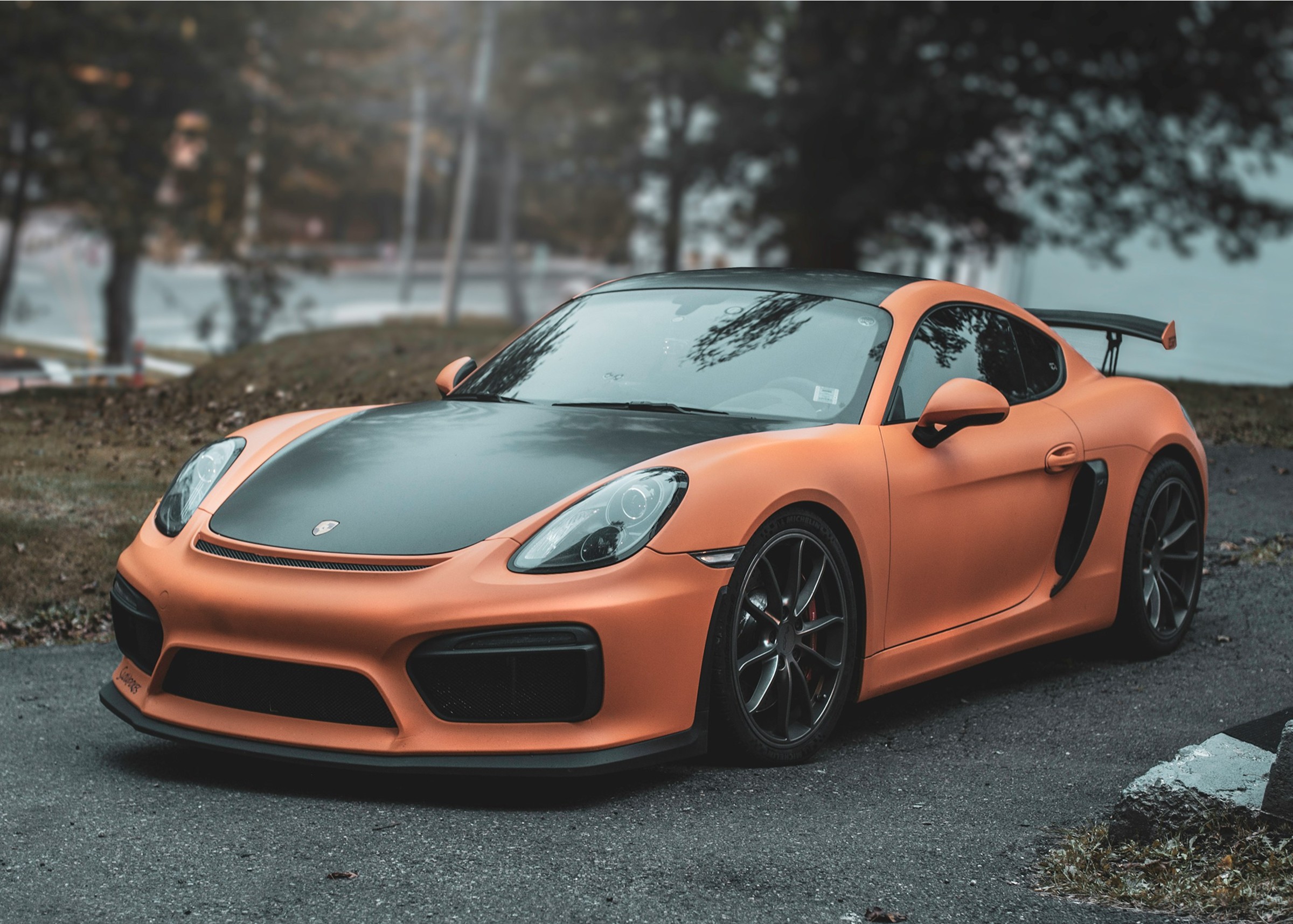 porche car - automotive sector
